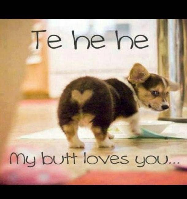 40 cute 'i love you' memes we are obsessed with yourtango 20_16?itok=pDferKBh 40 cute 'i love you' memes we are obsessed with yourtango